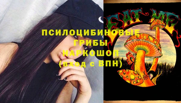 PSILOCYBIN Абдулино