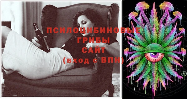 крисы Абаза