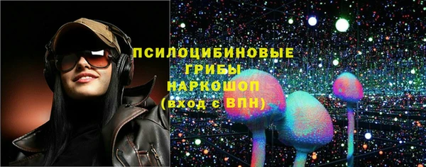 крисы Абаза