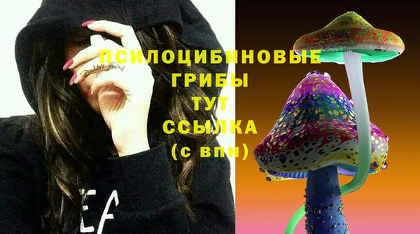 крисы Абаза