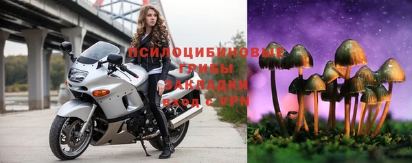 PSILOCYBIN Абдулино