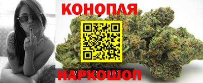 Альфа ПВП Пугачёв