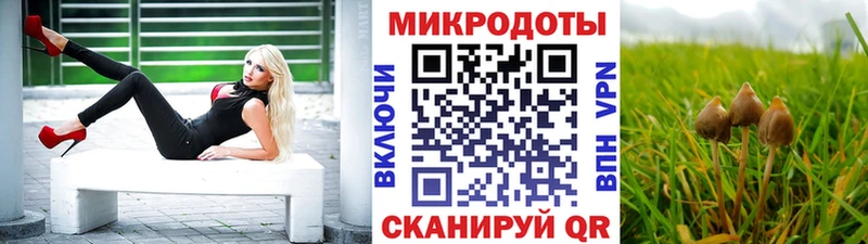 Псилоцибиновые грибы MAGIC MUSHROOMS  Сокол 