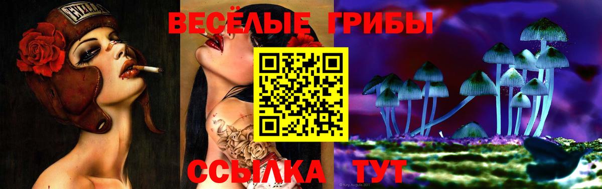 Псилоцибиновые грибы ЛСД Сокол